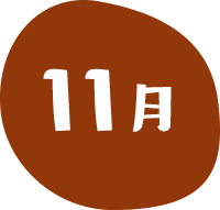 11月